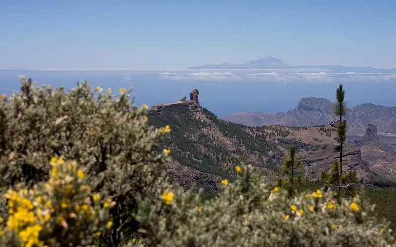 Tenerife