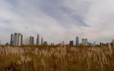 Buenos Aires