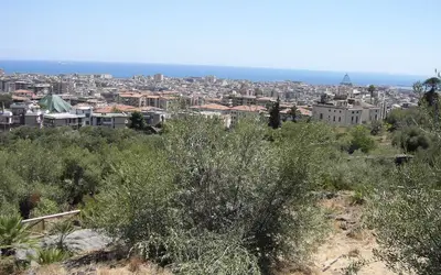 Catania