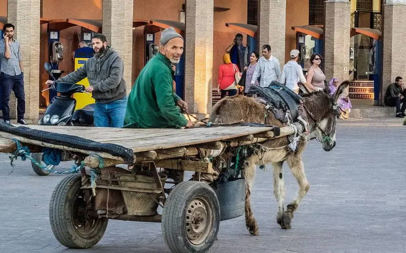 Marrakesh