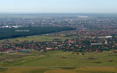 Timiș