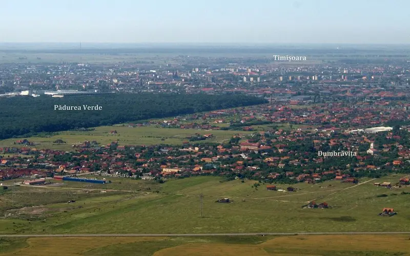 distretto di Timiș