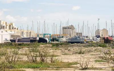 Faro