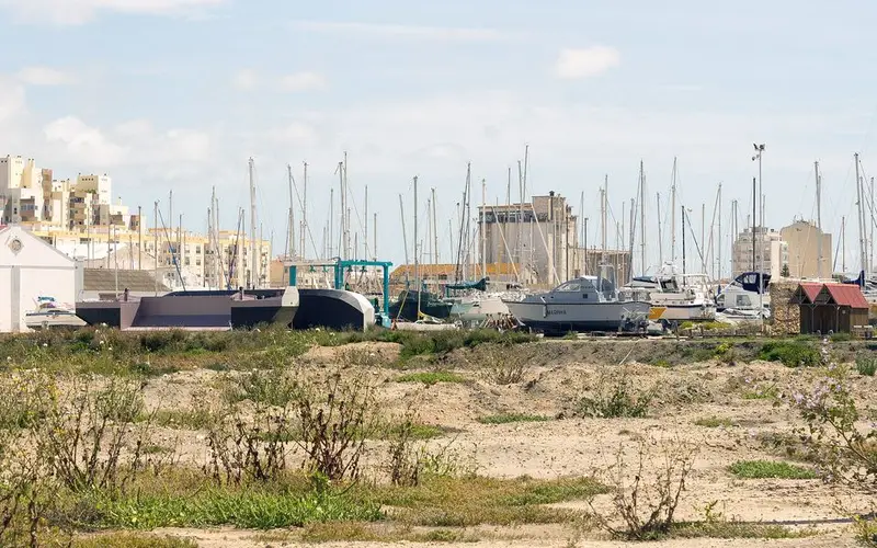 Faro