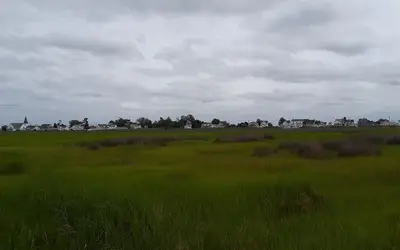Tangeri