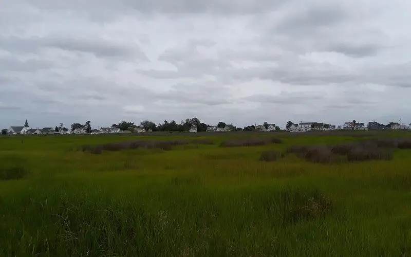 Tangeri